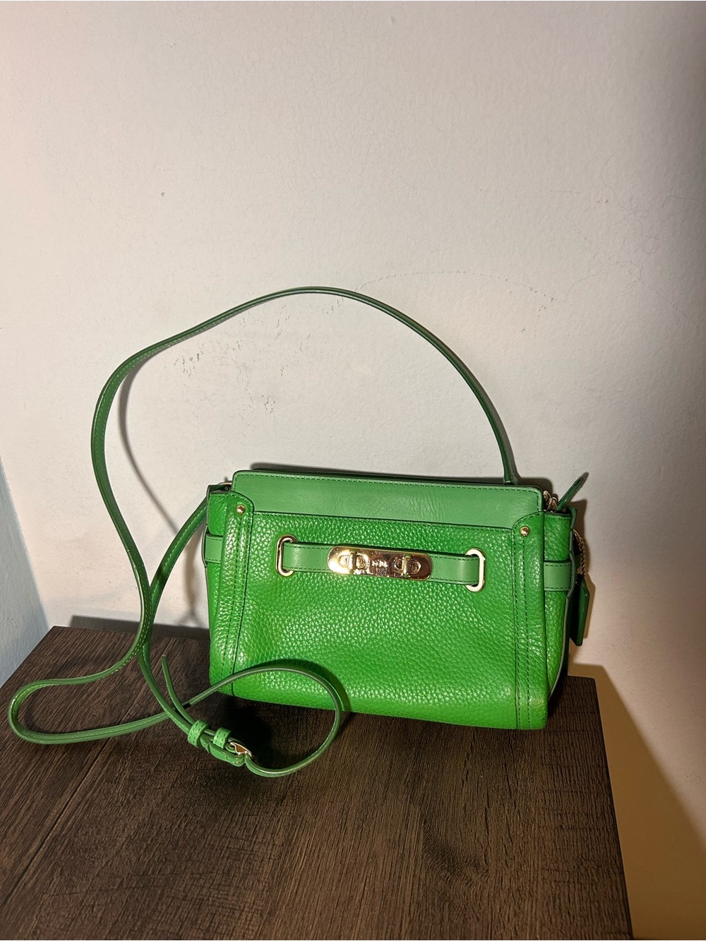 Green Leather Crossbody Bag with Gold Plate
